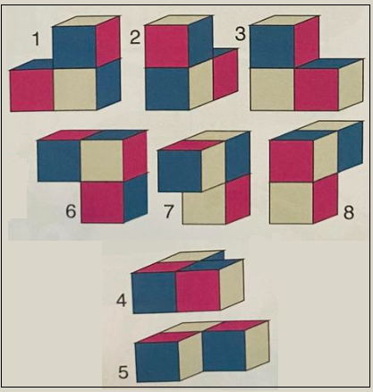 Find the identical cubes