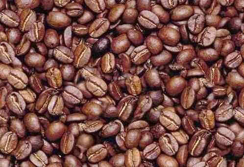 coffee bean man
