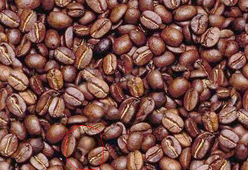 coffe bean man answer