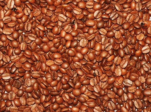 find them in the beans