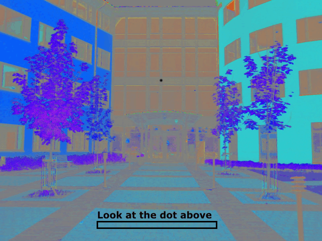 watch the dot