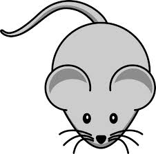 une souris