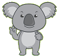 koala