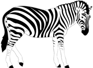 zebre.png