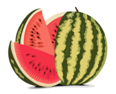 watermelon