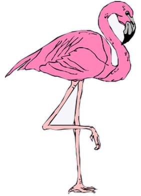 flamingo