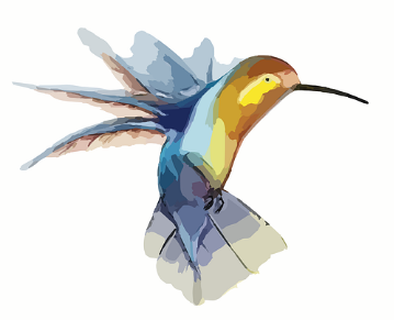 hummingbird