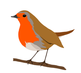 robin
