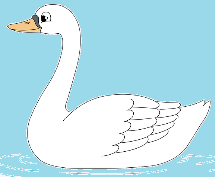 swan