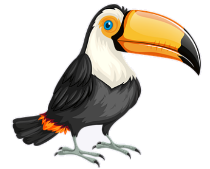 toucan