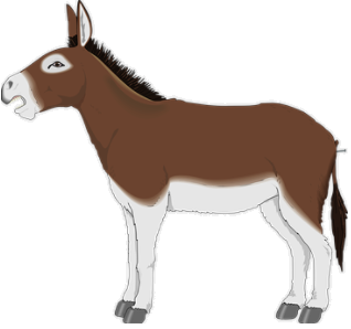 donkey