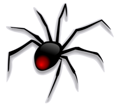 araignee