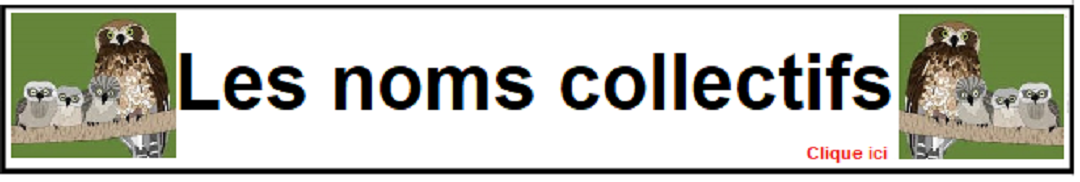Les noms collectifs