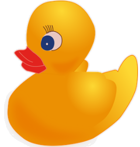 duck