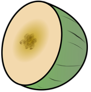 melon
