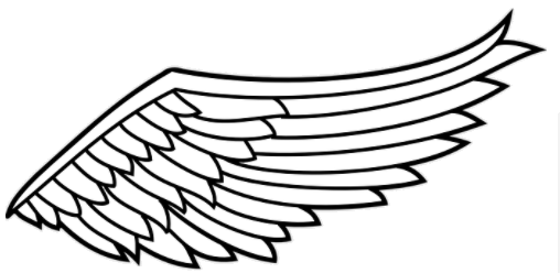 wing