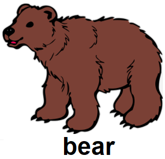 bear