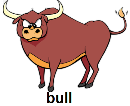 bull