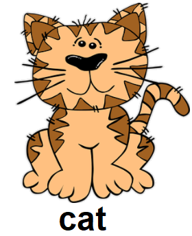 cat