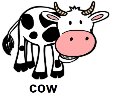 cow