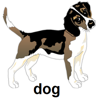 dog
