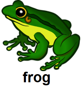 frog