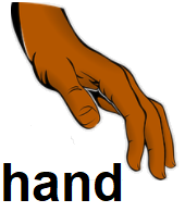 hand