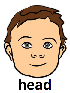 head