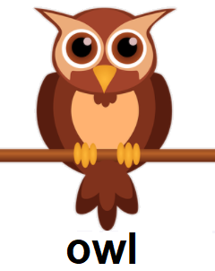owl