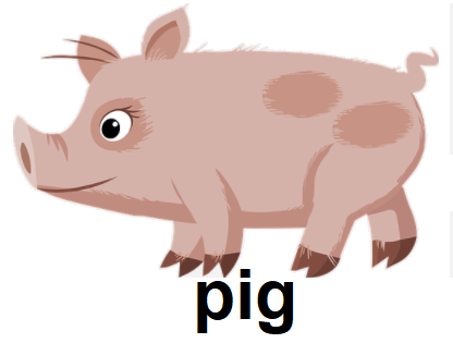pig