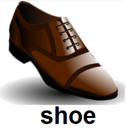 shoe