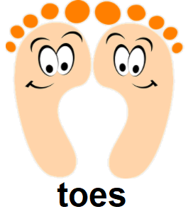 toes