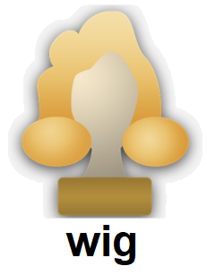 wig