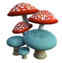 champignons.png