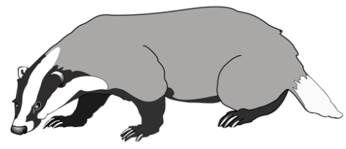 badger.png
