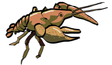 crayfish.png