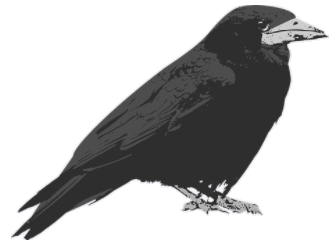 crow.png