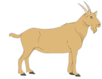goat.png