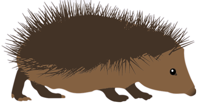 hedgehog.png