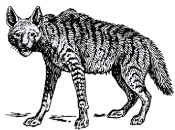 hyena.png