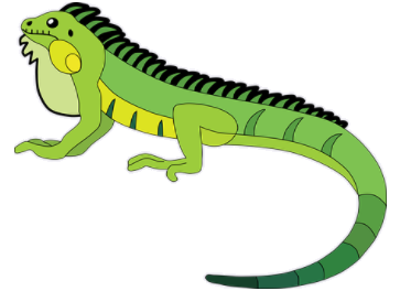 iguana.png