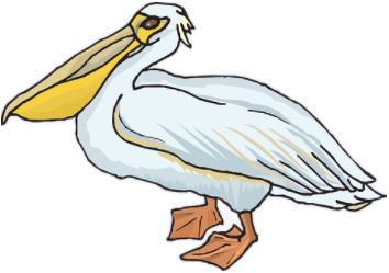pelican.png