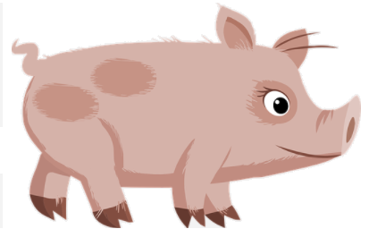 pig.png