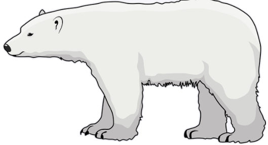 polarbear.png