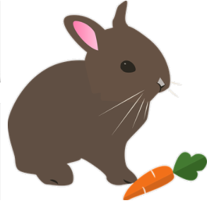 rabbit.png