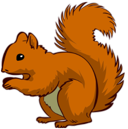 squirrel.png