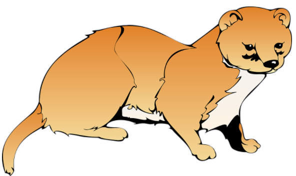 weasel.png