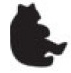 bear.png