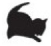 cat.png