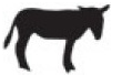 donkey.png